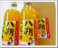 八朔ジュース2本入り 八朔ジュース2本入り