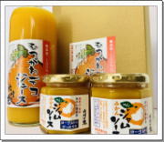 むつがわデコジュース1本とみかんジャム2本のセット デコジュース1本とみかんジャム2本のセット
