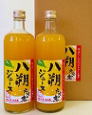 八朔(はっさく)ジュース2本セット 八朔(はっさく)ジュース2本セット