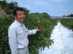 2005年度の紅俺ん路みかんを語る上門庄亮